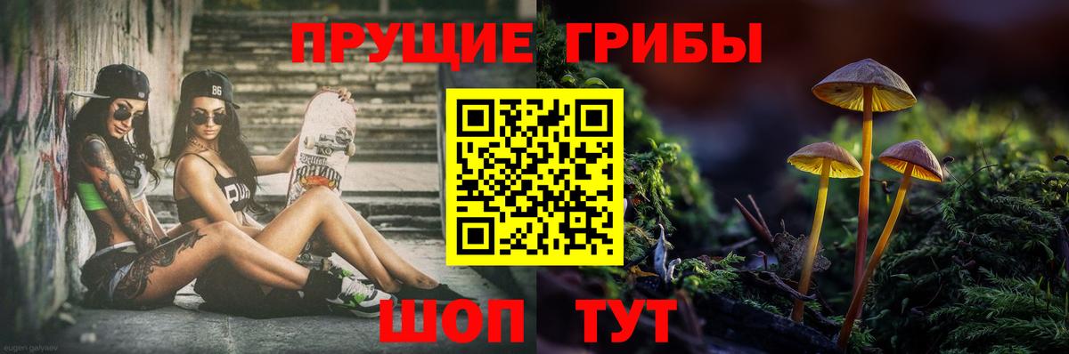 Псилоцибиновые грибы прущие грибы Мытищи